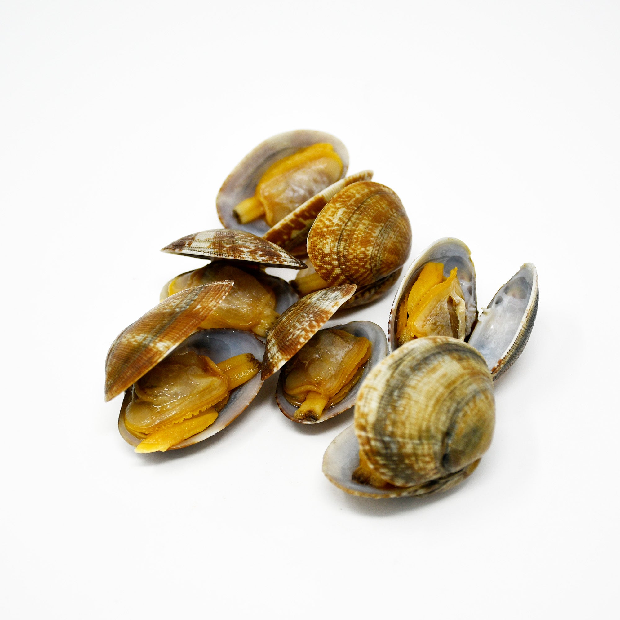 COOKED & FROZEN SHORT NECK CLAMS WITH SHELL (500g)