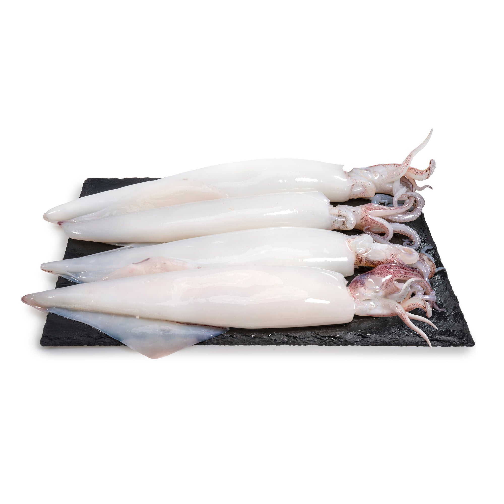 FRESH WHOLE SQUID (Grade A) (500g)