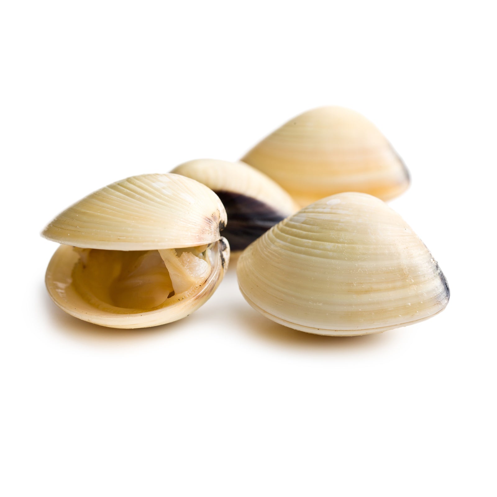 COOKED & FROZEN WHOLE WHITE CLAMS (500g)