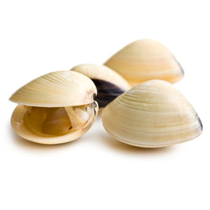 COOKED & FROZEN WHOLE WHITE CLAMS (500g)
