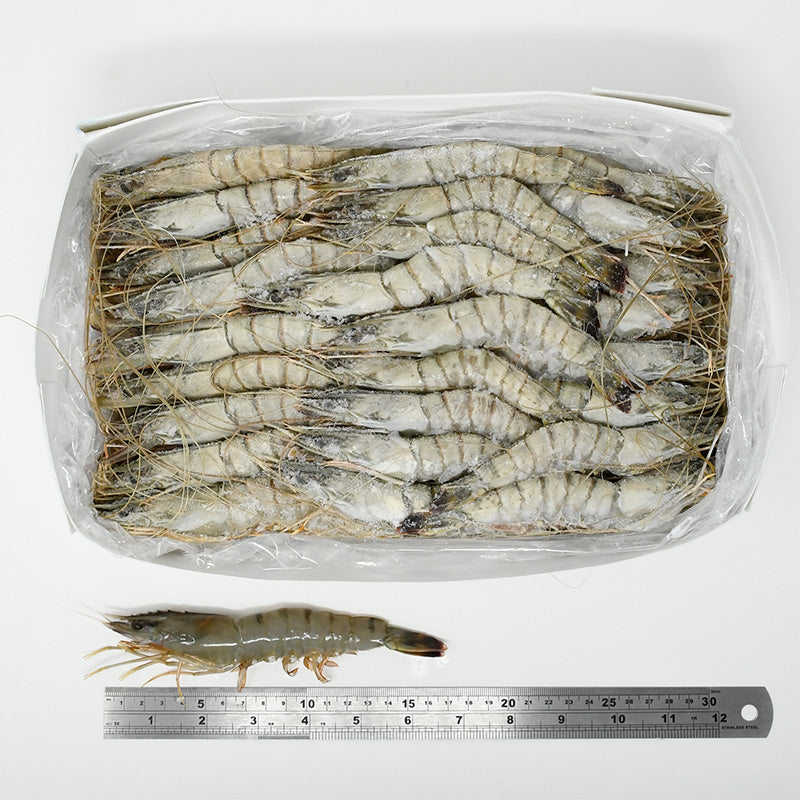 SPECIAL QUEEN TIGER PRAWNS (T3) - 2kg