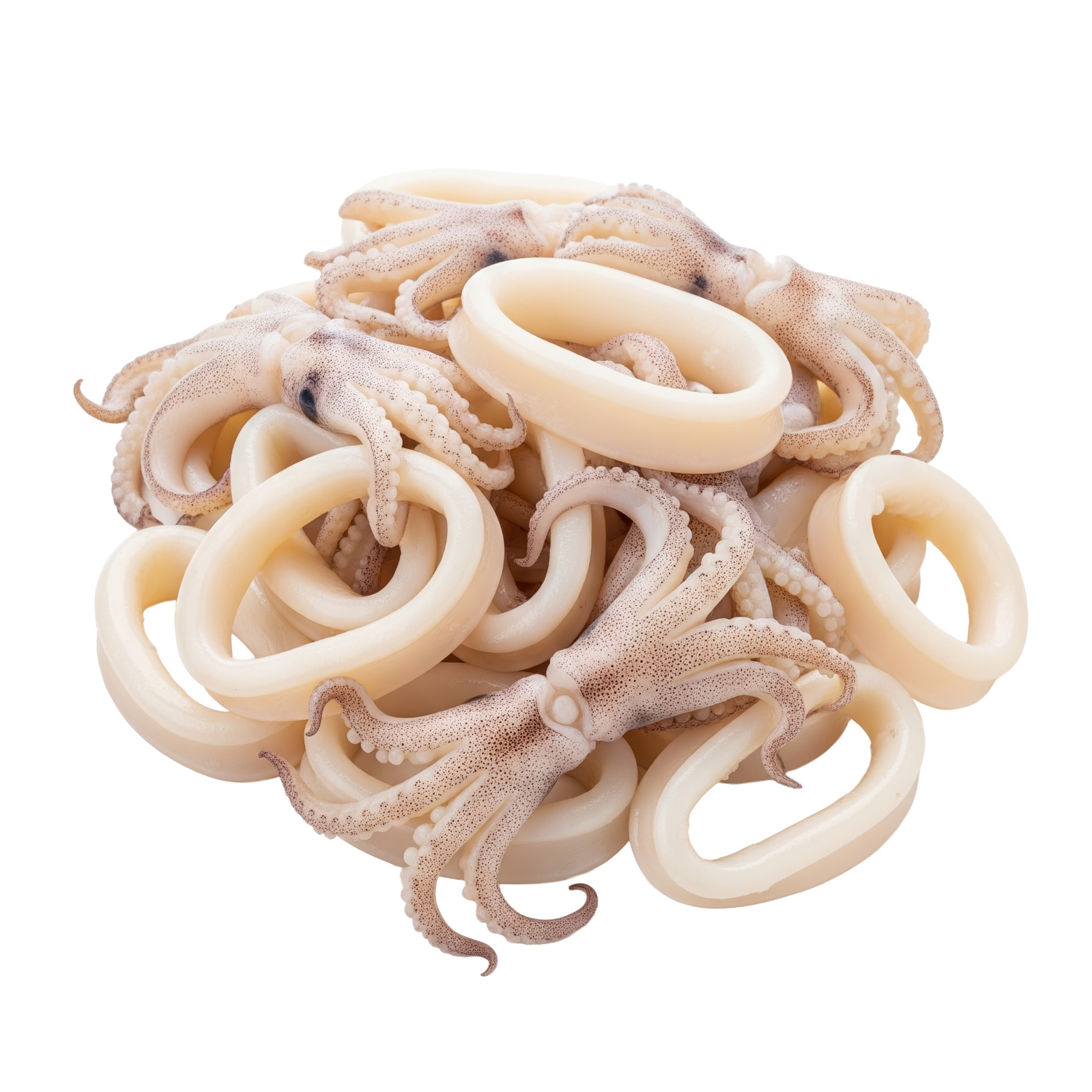 FRESH SQUID RINGS (Grade A) (500g)