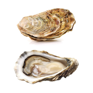 PREMIUM GAZI BAY PACIFIC OYSTERS (6 pcs unshucked)