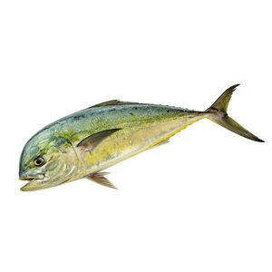FROZEN DORADO FILLETS (MAHI MAHI)  (350-400g)