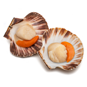 PREMIUM HALF SHELL SCALLOPS (1kg)