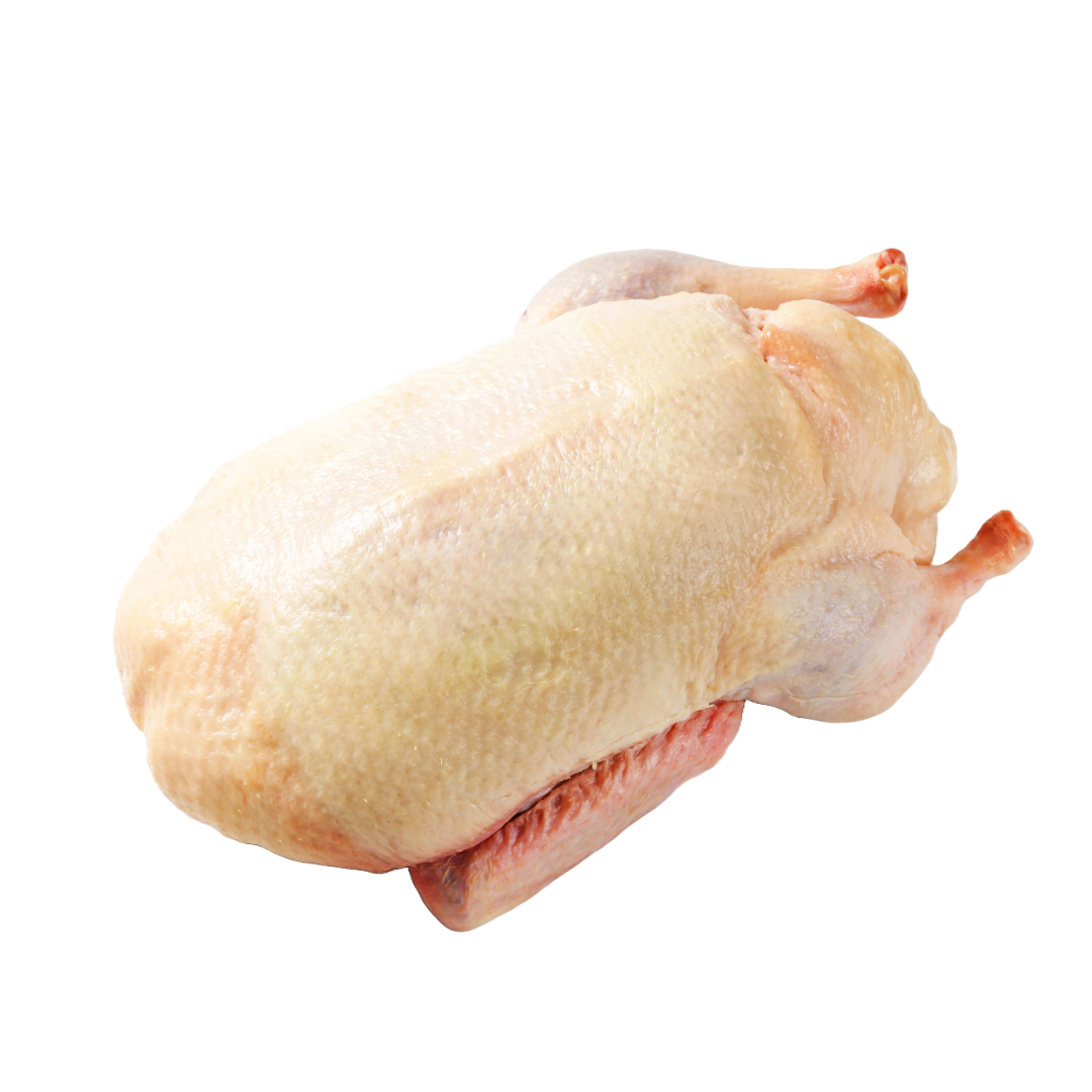 IMPORTED FRENCH BARBARIE WHOLE MALE DUCK (without giblets)