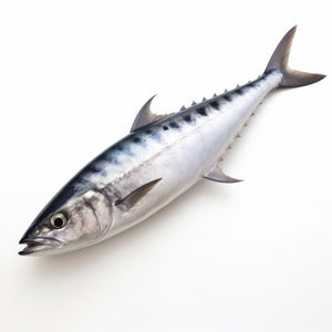 KING FISH STEAK FROZEN (1kg)