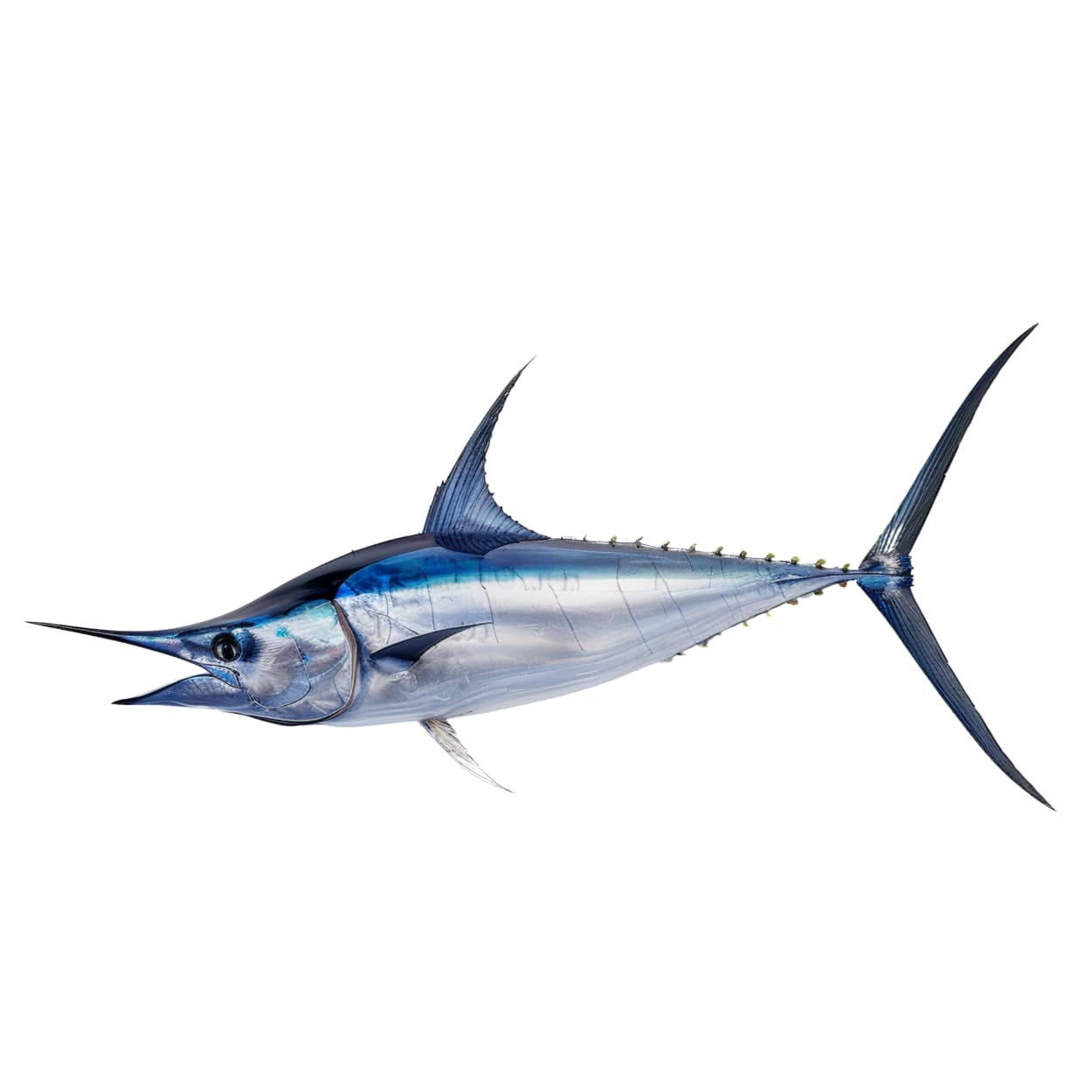 SMOKED SAILFISH (200g)
