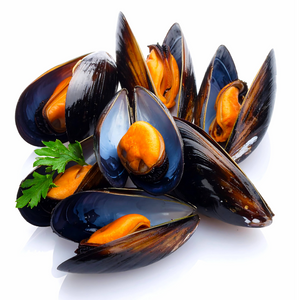 COOKED & FROZEN WHOLE SHELL CHILEAN MUSSELS (1kg)