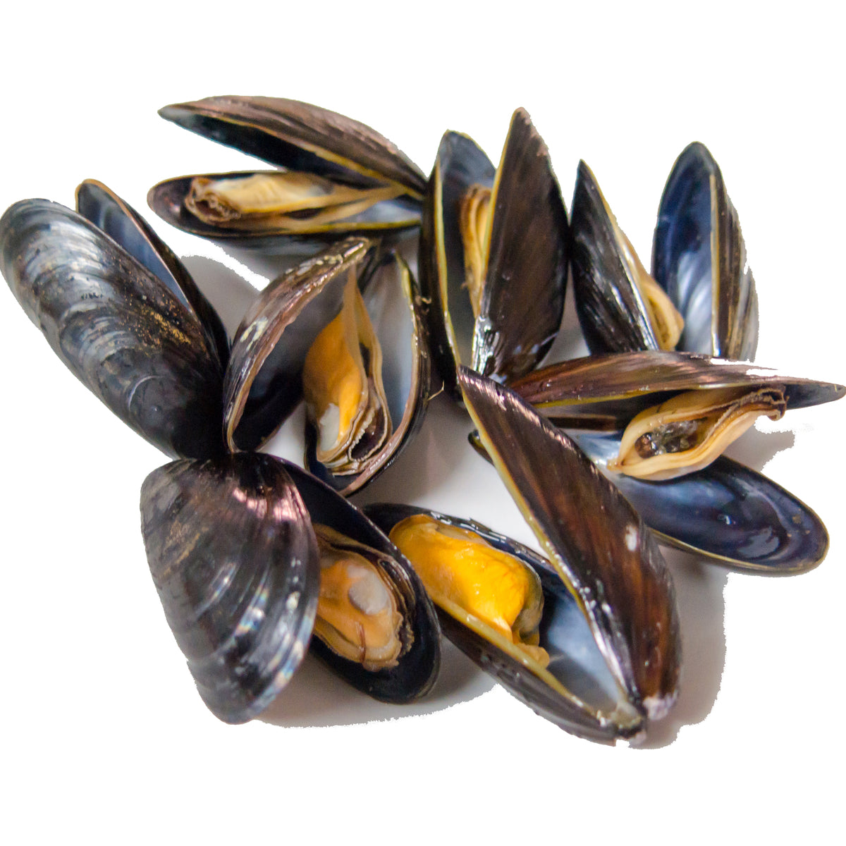 COOKED & FROZEN BLUE SHELL MUSSELS (1kg)