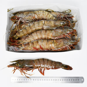 GIANT TIGER PRAWNS (T0) - 2kg