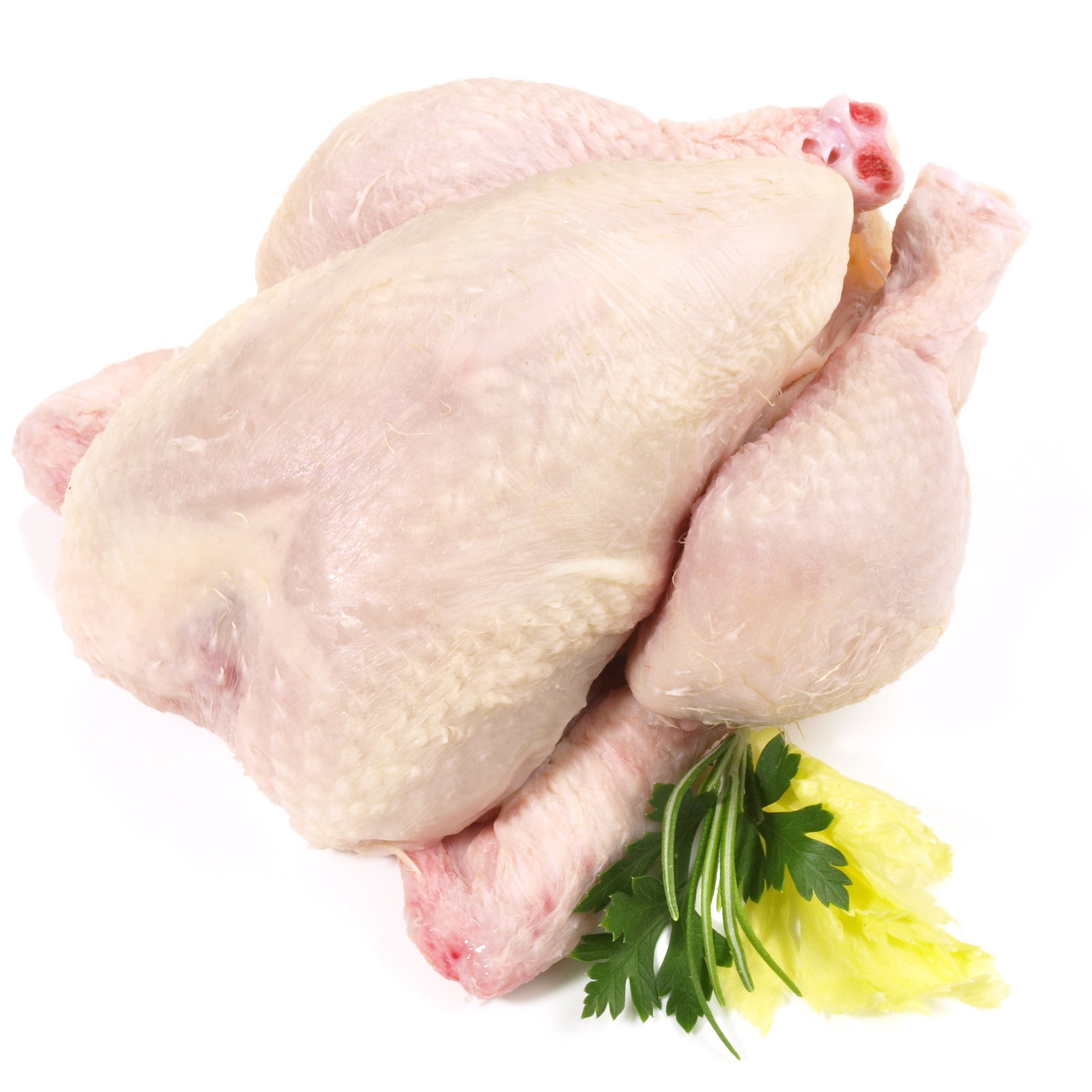 FRESH SPRING CHICKEN