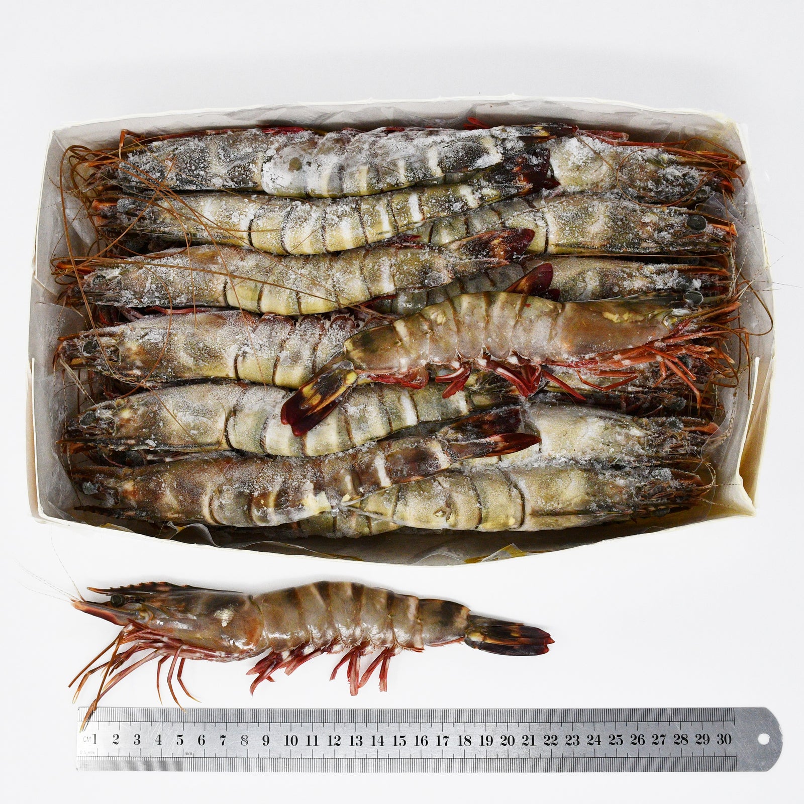 JUMBO TIGER PRAWNS (T1) - 2kg