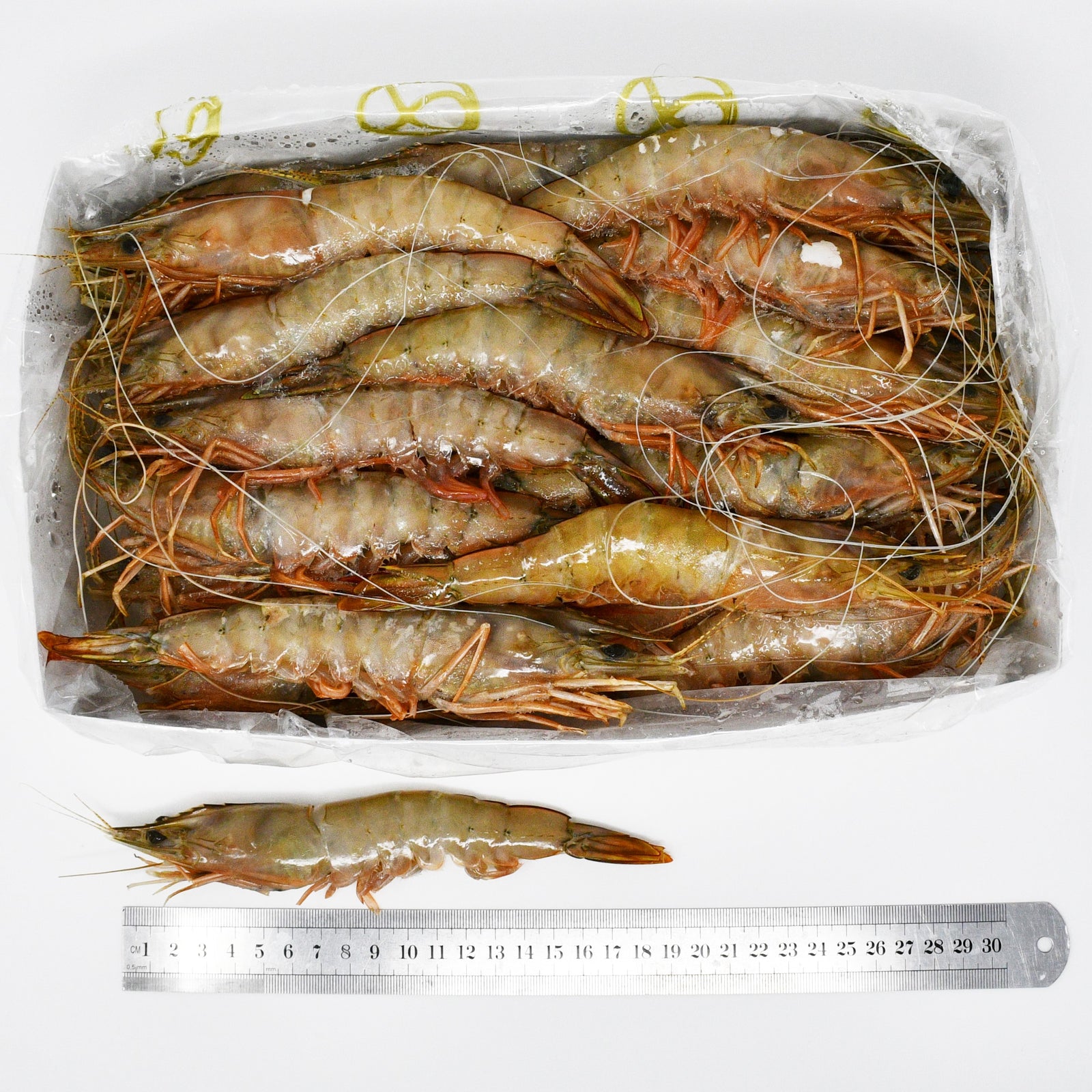 KING  BANANA PRAWNS (B2) - 2kg