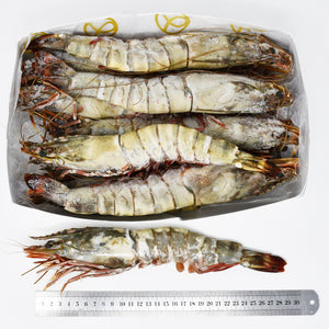 SUPER GIANT TIGER PRAWNS (TX) - 2kg