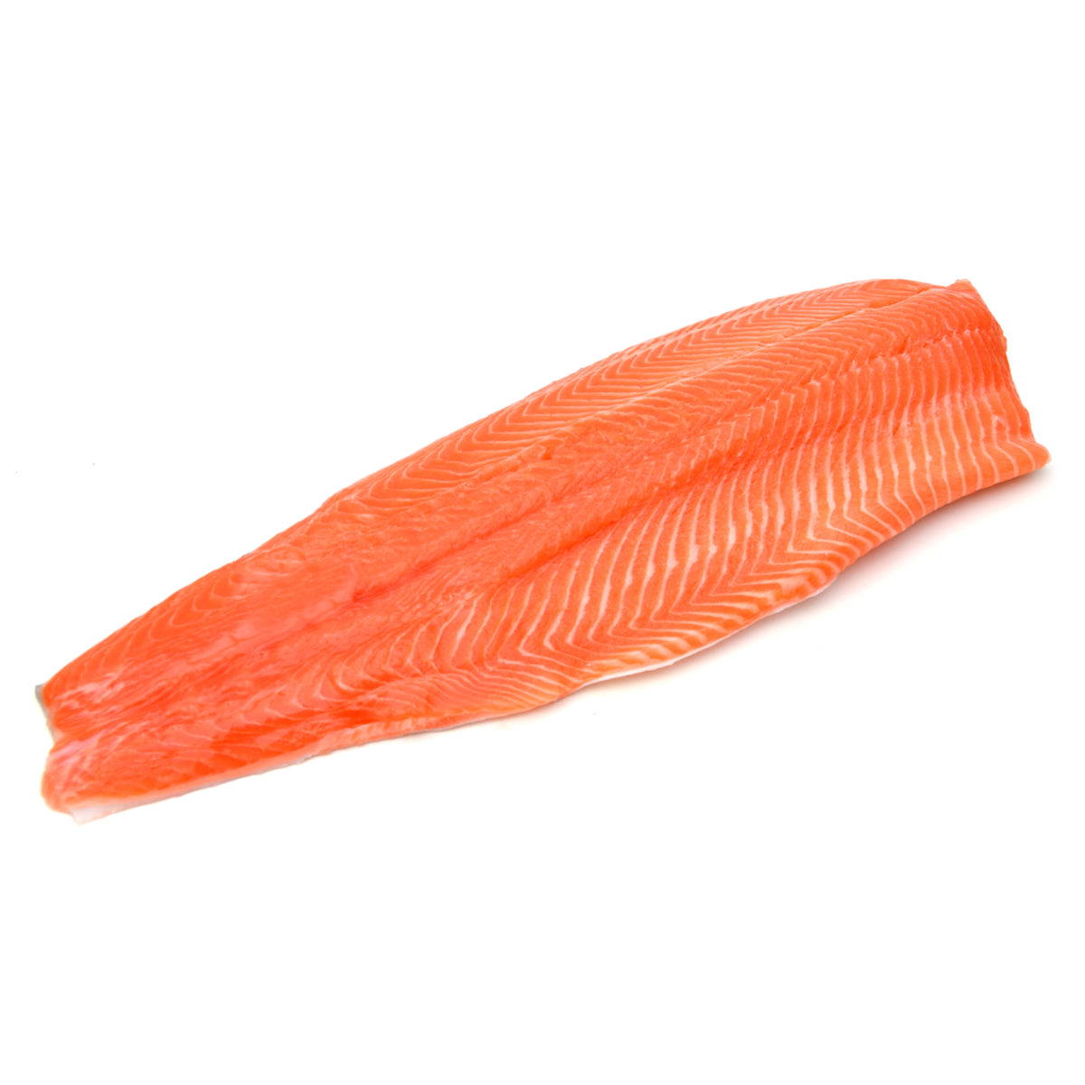 WHOLE SALMON FISH FILLET