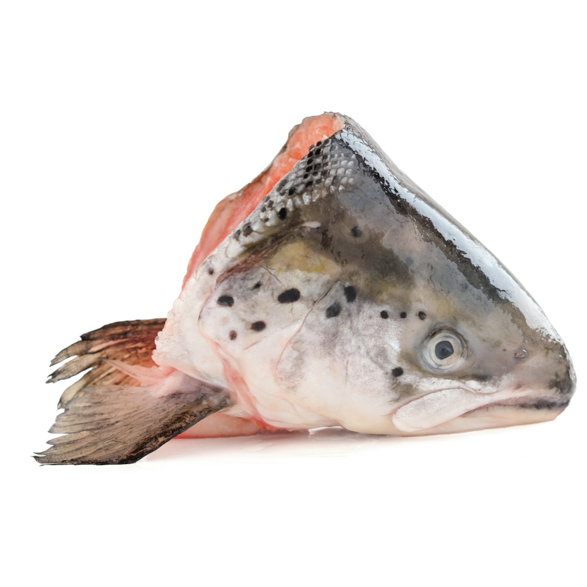 FROZEN SALMON HEAD (Good for fish stock)