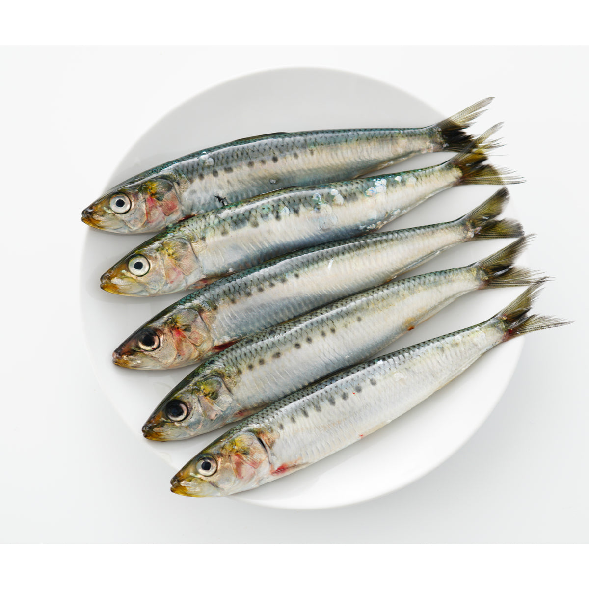 FROZEN SARDINES (1kg)