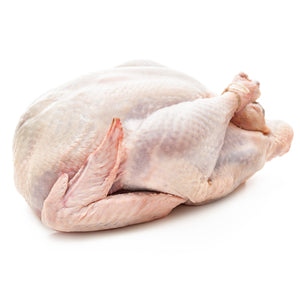 FROZEN WHOLE TURKEY (IMPORTED)